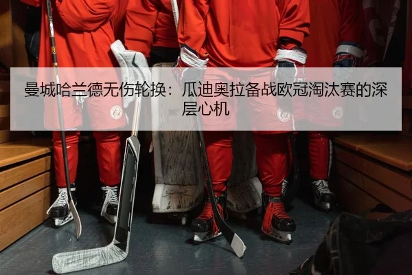 man-cheng-ha-lan-de-wu-shang-lun-huan-gua-di-ao-la-bei-zhan-ou-guan-tao-tai-sai-de-shen-ceng-xin-ji-2-903.jpg